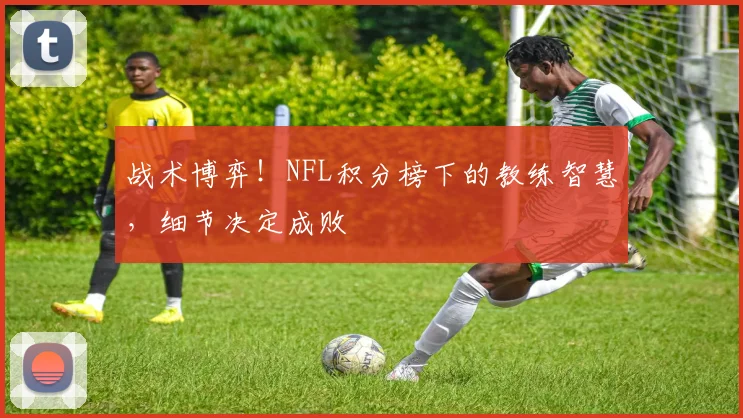 战术博弈!NFL积分榜下的教练智慧,细节决定成败