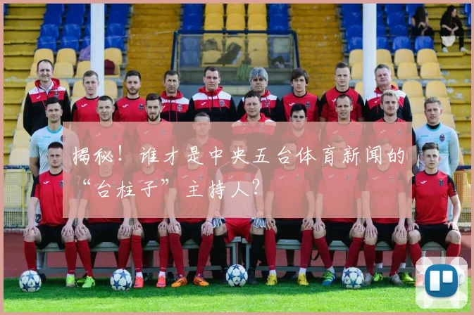 揭秘!谁才是中央五台体育新闻的“台柱子”主持人?